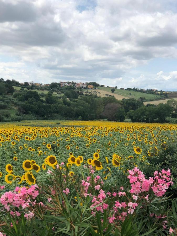 Fontebella Panzió Montemarciano Kültér fotó