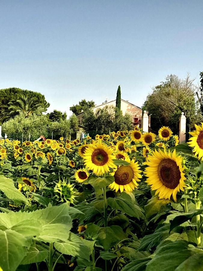 Fontebella Panzió Montemarciano Kültér fotó