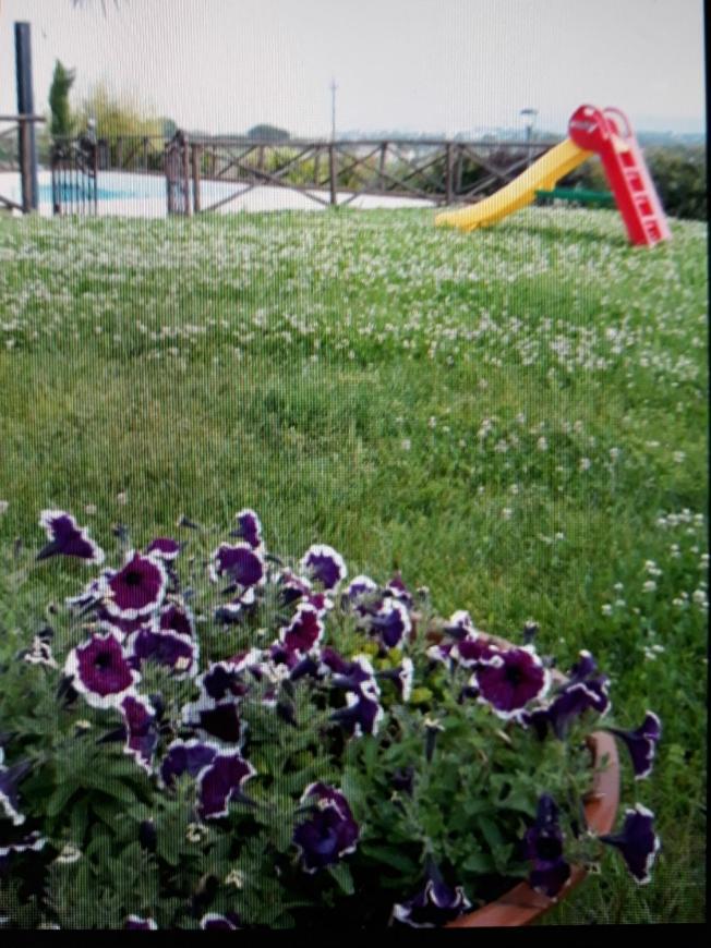 Fontebella Panzió Montemarciano Kültér fotó