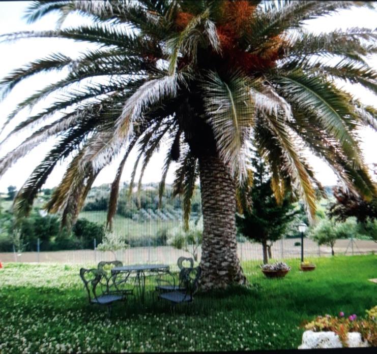 Fontebella Panzió Montemarciano Kültér fotó