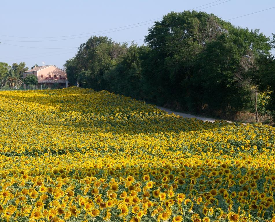 Fontebella Panzió Montemarciano Kültér fotó